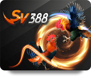 Why Choose VF555 Live Dealer Hot for Online Gambling?